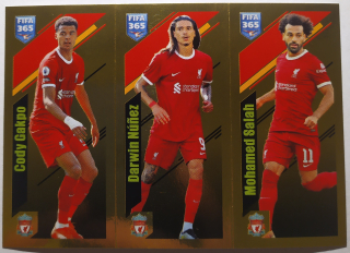 FIFA 365 2023/2024 - Samolepka č.81a/b/c