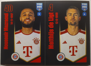 FIFA 365 2023/2024 - Samolepka č.232a/b