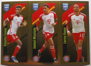 FIFA 365 2023/2024 - Samolepka č.241a/b/c