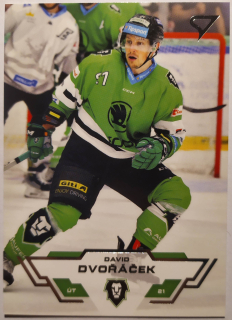 SportZoo ELH 23/24 - David Dvořáček - Mladá Boleslav - #333
