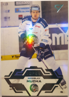 SportZoo ELH 23/24 - Liberec - Miroslav Mucha - 1of95 - #302