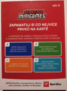 SportZoo ELH 23/24 - MINIGAMES - #MG-13