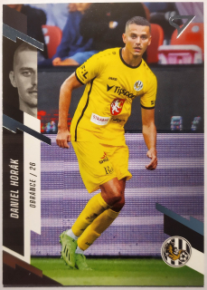 SportZoo Fortuna Liga 23/24 - Daniel Horák - Hradec Králové - #284