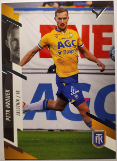 SportZoo Fortuna Liga 23/24 - Petr Hronek - Teplice - #332