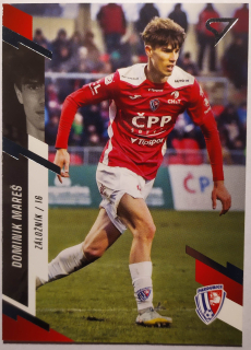 SportZoo Fortuna Liga 23/24 - Dominik Mareš - Pardubice - #350