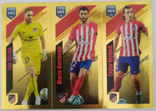 FIFA 365 2023/2024 - Samolepka č.135a/b/c