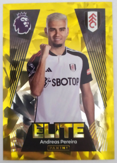 Premier League 2023/2024 - #306