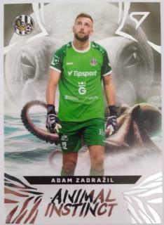 SportZoo Chance Liga 24/25 - Adam Zadražil - Animal Instinct - Hradec Králové - #AI-13