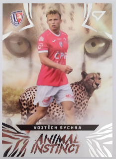SportZoo Chance Liga 24/25 - Vojtěch Sychra - Animal Instinct - Pardubice - #AI-27