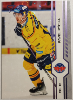 SportZoo ELH 24/25 - Pavel Pýcha - České Budějovice - Puck Marks - #P96