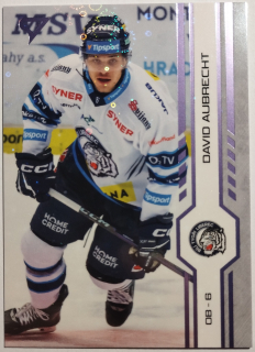 SportZoo ELH 24/25 - David Aubrecht - Liberec - Puck Marks - #P111