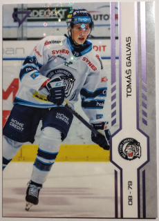 SportZoo ELH 24/25 - Tomáš Galvas - Liberec - Puck Marks - #P113