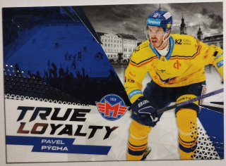 SportZoo ELH 24/25 - Pavel Pýcha - České Budějovice - True Loyalty - #TL-11