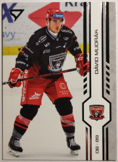 SportZoo ELH 24/25 - Dávid Mudrák - Hradec Králové - #134