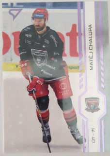 SportZoo ELH 24/25 - Matěj Chalupa - Hradec Králové - Puck Marks - #P313