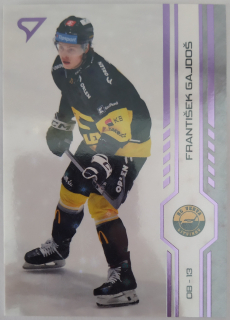SportZoo ELH 24/25 - František Gajdoš - Litvínov - Puck Marks - #P280