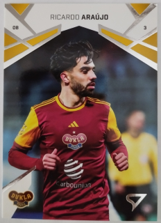 SportZoo Chance Liga 24/25 - Ricardo Araújo- Dukla - #358