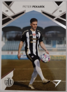 SportZoo Chance Liga 24/25 - Peter Pekarík - České Budějovice - #351