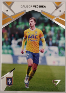 SportZoo Chance Liga 24/25 - Dalibor Večerka - Teplice - #275