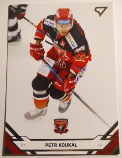 SportZoo ELH 21/22 - Petr Koukal - Hradec Králové - #83