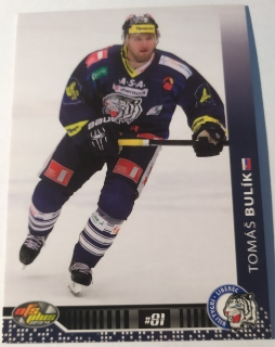 OFS 13/14 - Tomáš Bulík - Liberec - #29