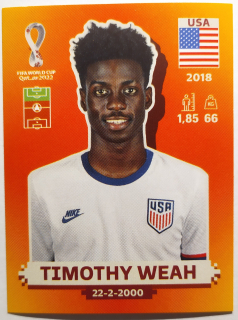 World Cup 2022 - Timothy Weah - č.USA 19