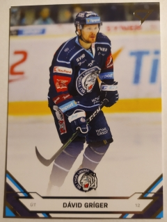 SportZoo ELH 21/22 - Dávid Gríger - Liberec - #30