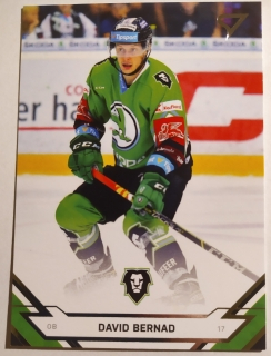 SportZoo ELH 21/22 - David Bernad - Mladá Boleslav - #57