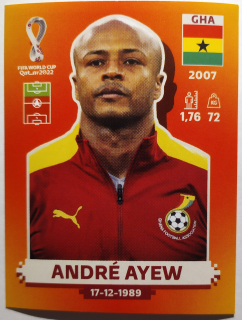 World Cup 2022 - André Ayew - č.GHA 16