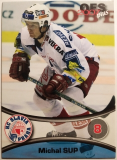 OFS 06/07 - Michal Sup - Slavia - #304