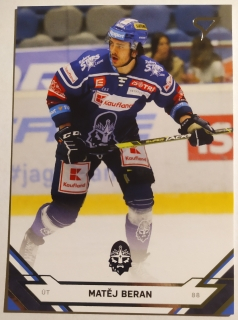 SportZoo ELH 21/22 - Matěj Beran - Kladno - #260