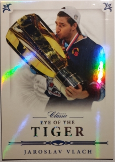 OFS 16/17 - Jaroslav Vlach - Eye of the Tiger Silver Rainbow - Liberec - #EOT-18 15/29