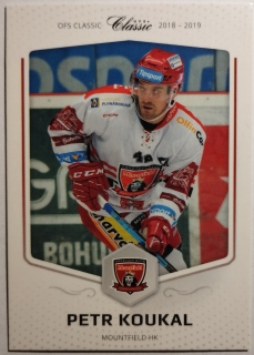 OFS 18/19 - Petr Koukal - Hradec Králové - #65