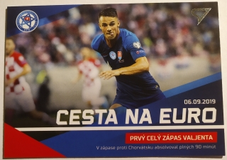 SportZoo Slovenskí Sokoli 2021 - Cesta na Euro - #CE6