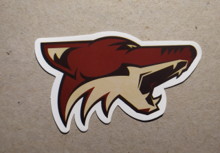 Arizona Coyotes