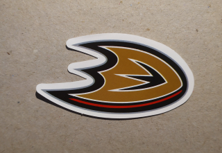Anaheim Ducks