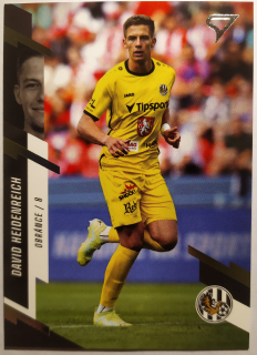 SportZoo Fortuna Liga 23/24 - David Heidenreich - Hradec Králové - #94