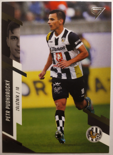 SportZoo Fortuna Liga 23/24 - Petr Podhůrecký - Hradec Králové - #100