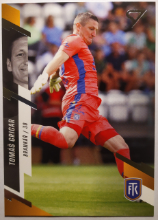 SportZoo Fortuna Liga 23/24 - Tomáš Grigar - Teplice - #139