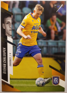 SportZoo Fortuna Liga 23/24 - Štěpán Chaloupek - Teplice - #141