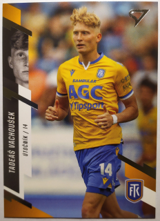 SportZoo Fortuna Liga 23/24 - Tadeáš Vachoušek - Teplice - #149