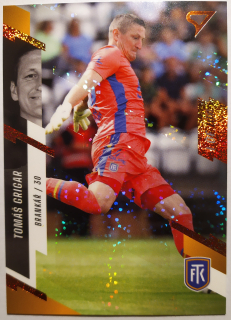 SportZoo Fortuna Liga 23/24 - 1 of 100 - Tomáš Grigar - Teplice - #139