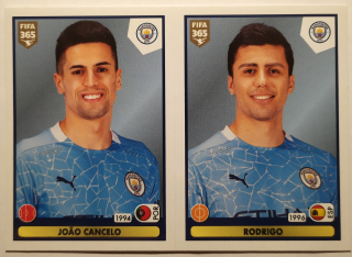 FIFA 365 2020/2021 - Samolepka č.47a/47b