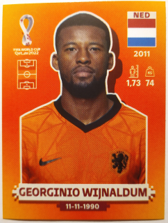 World Cup 2022 - Georginio Wijnaldum - č.NED 14