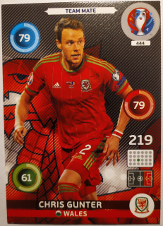 Panini Euro 2016 Adrenalyn XL - Chris Gunter - Wales