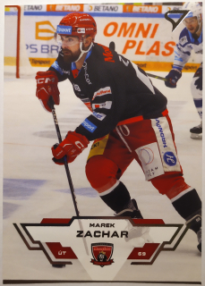 SportZoo ELH 23/24 - Marek Zachar - Hradec Králové - #36