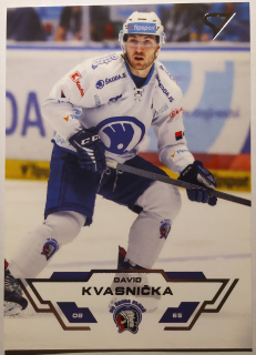 SportZoo ELH 23/24 - David Kvasnička - Plzeň - #203