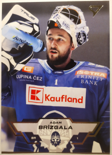 SportZoo ELH 23/24 - Adam Brízgala - Kladno - #236