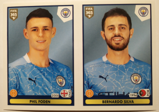 FIFA 365 2020/2021 - Samolepka č.53a/53b