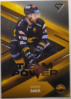 SportZoo ELH 23/24 - Litvínov - Janis Jaks - TEAM POWER - #TP-31